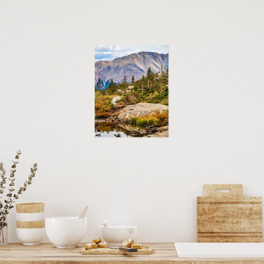 山の池//岩と木 ポスター (キッチン)