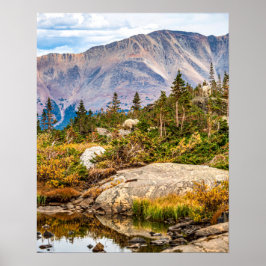 山の池//岩と木 ポスター