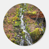 山の湧水の滝..... マグネット (正面)