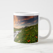 山の滝と花 ジャンボコーヒーマグカップ (右)