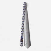 山の火山の噴火 ネクタイ (裏面)