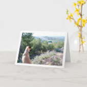 山の犬のポートレート カード (黄色い花)