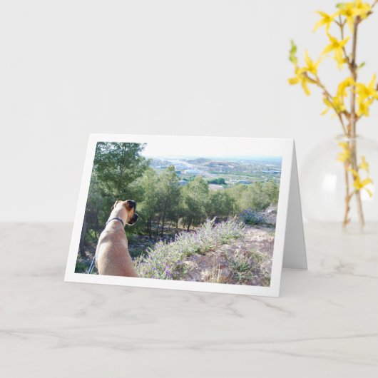 山の犬のポートレート カード (黄色い花)