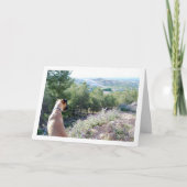 山の犬の肖像画 カード (正面)