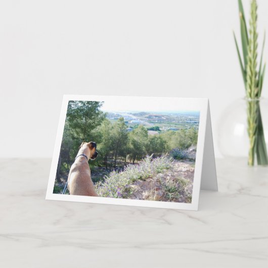 山の犬の肖像 カード (正面)