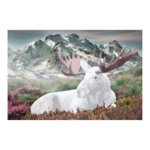 山の白いムース