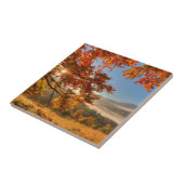 山の秋の森林 タイル (側面)