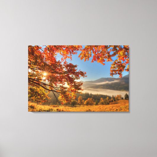 山の秋の森 キャンバスプリント (正面)