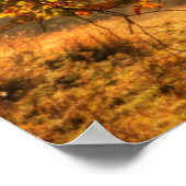 山の秋の森 ポスター (角)