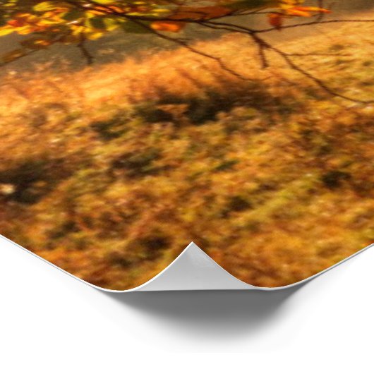 山の秋の森 ポスター (角)