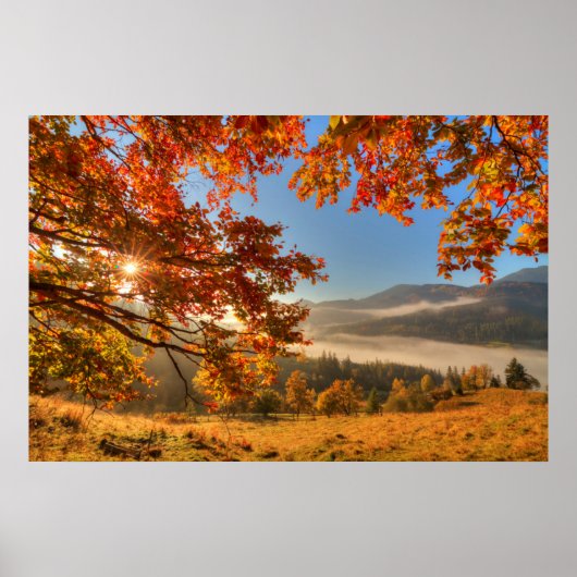 山の秋の森 ポスター (正面)