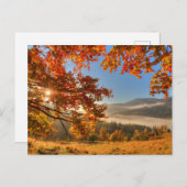 山の秋の森 ポストカード (正面/裏面)