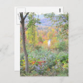 山の秋の色 ポストカード (正面/裏面)