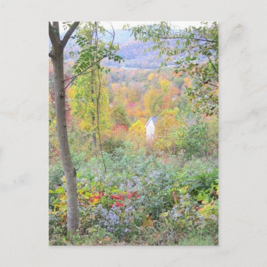 山の秋の色 ポストカード (正面)