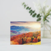 山の秋林景観 ポストカード (スタンド正面)