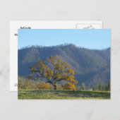 山の秋...はがき ポストカード (正面/裏面)