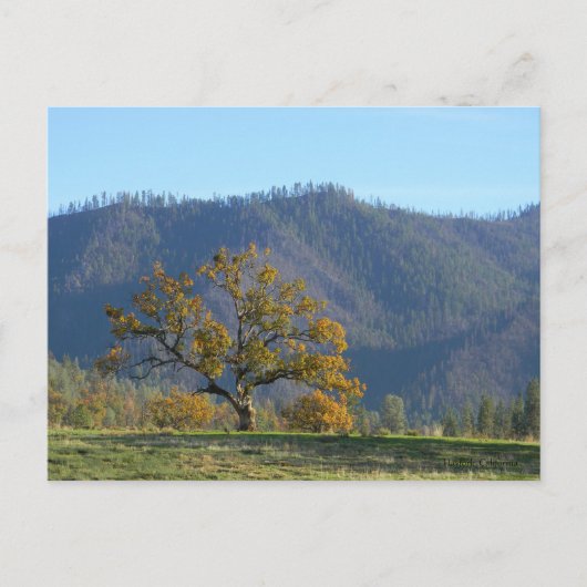 山の秋...はがき ポストカード (正面)