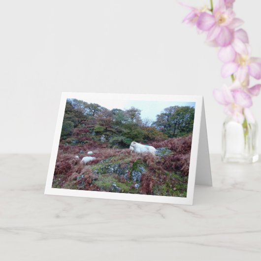 山の羊 カード (蘭)