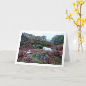 山の羊 カード (黄色い花)