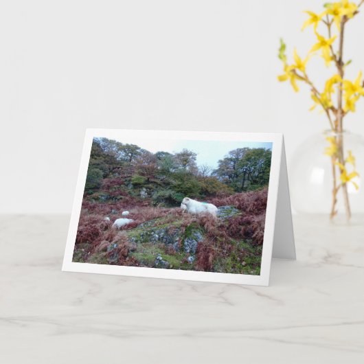 山の羊 カード (黄色い花)