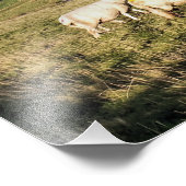 山の羊 フォトプリント            (角)