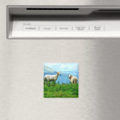 山の羊 マグネット (インサイチュ (食洗機))