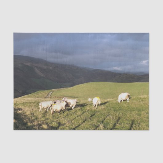 山の羊 薄葉紙 (正面)