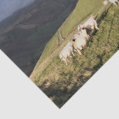 山の羊 薄葉紙 (詳細)