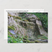 山の老人 ポストカード (正面/裏面)