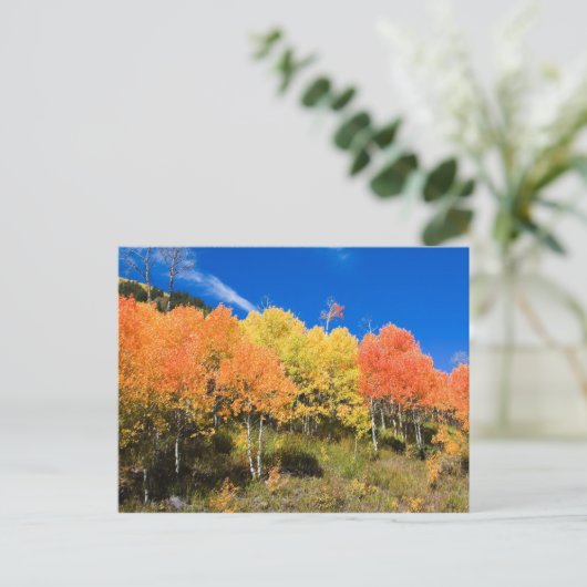 山の色 ポストカード (スタンド正面)