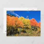 山の色 ポストカード (正面/裏面)