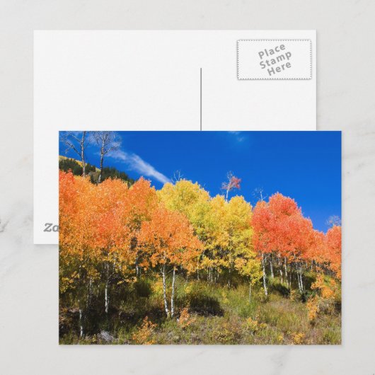 山の色 ポストカード (正面/裏面)