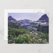 山の花と隠れた湖、低木 ポストカード (正面/裏面)