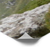 山の茶色の雄牛 ポスター (角)