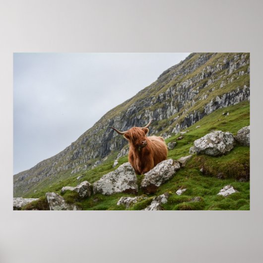 山の茶色の雄牛 ポスター (正面)
