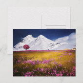 山の草原の花の風景 ポストクロッシング ポストカード (正面/裏面)