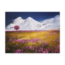 山の草原の花の風景 ポストクロッシング
