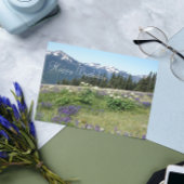 山の草原の野の花の誕生日 カード