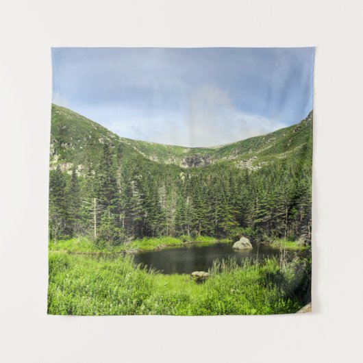 山の谷の小さな池 タペストリー (正面)