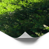 山の谷の小さな池 ポスター (角)