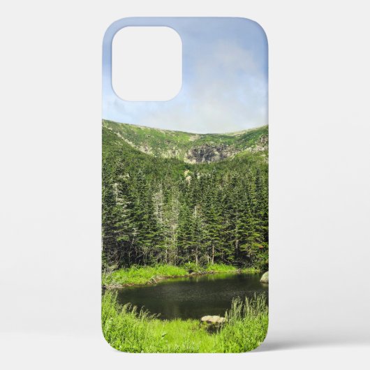 山の谷の小さな池 Case-Mate iPhoneケース (裏面)