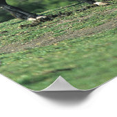 山の野生のマスタングの馬 ポスター (角)