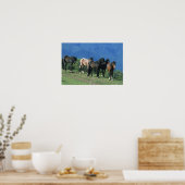 山の野生のマスタングの馬 ポスター (キッチン)