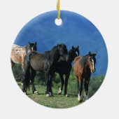 山の野生のムスタングの馬 セラミックオーナメント (裏面)