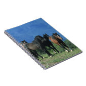 山の野生のムスタングの馬 ノートブック (右側)