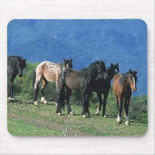山の野生のムスタングの馬 マウスパッド