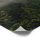 山の霧の森 ポスター (角)