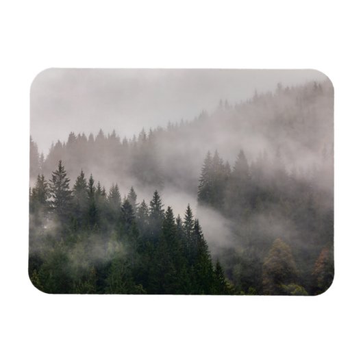 山の霧の森 マグネット (横)