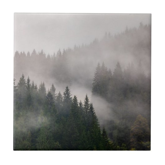 山の霧深い森林 タイル (正面)