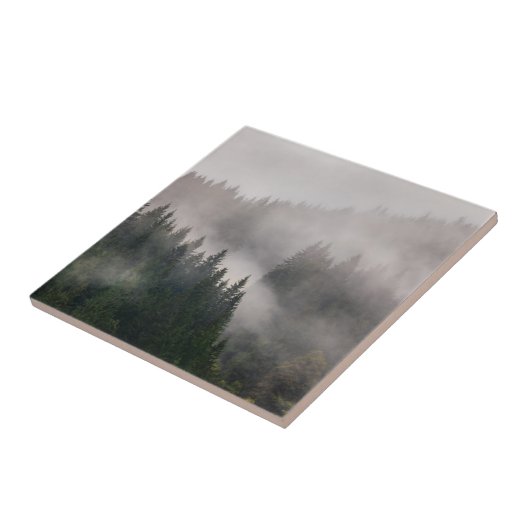 山の霧深い森林 タイル (側面)